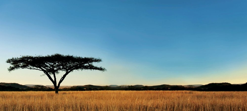 Backdrop of Nature