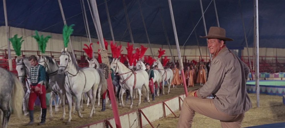 Backdrop of Circus World