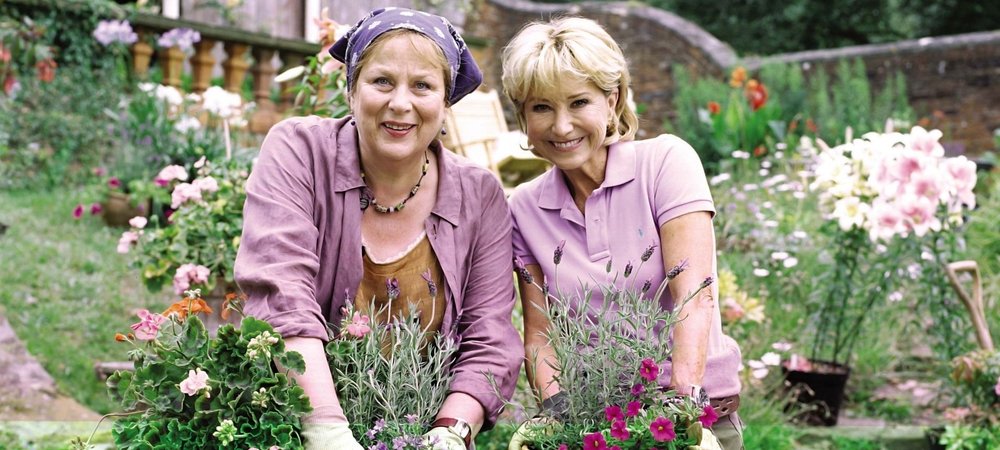 Backdrop of Rosemary & Thyme