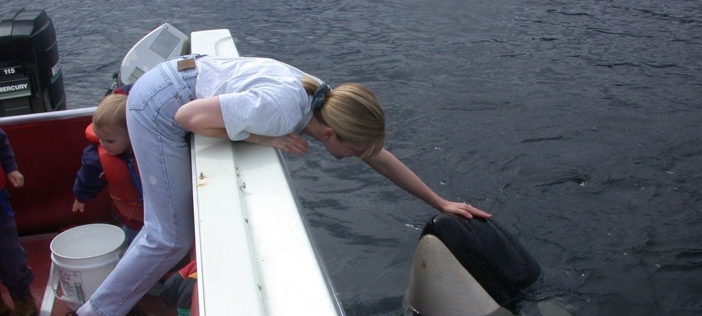 Backdrop of The Whale