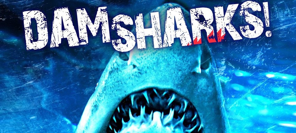 Backdrop of Dam Sharks!