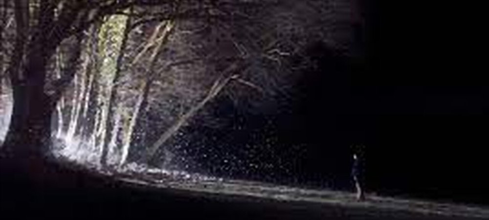 Backdrop of Particles