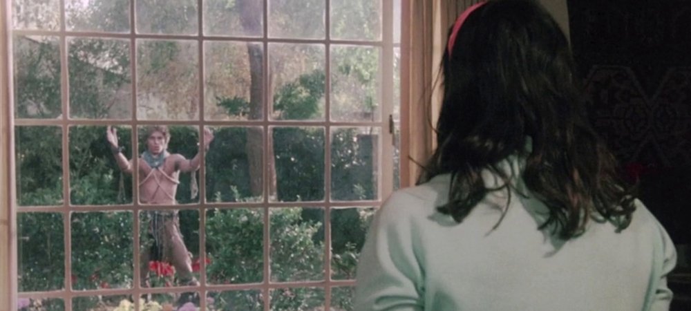 Backdrop of I Never Promised You a Rose Garden