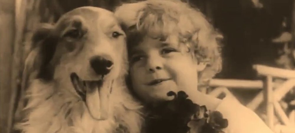 Backdrop of A Dog's Love