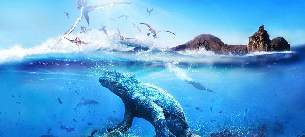 Backdrop of Galapagos
