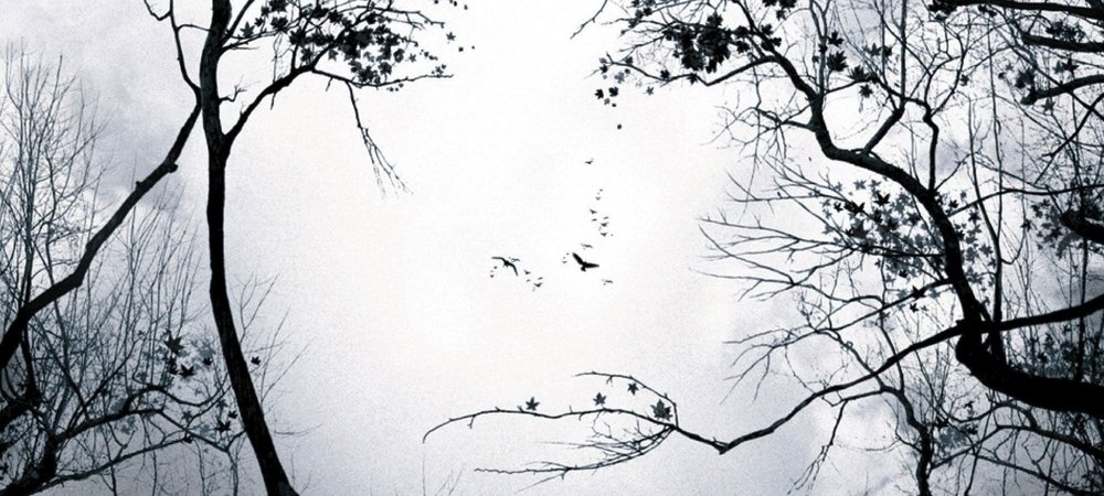 Backdrop of Premonition