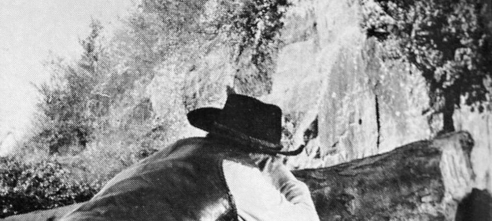 Backdrop of Shotgun