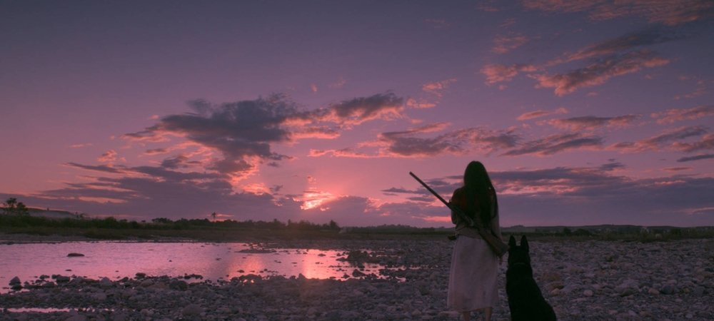 Backdrop of Birdshot