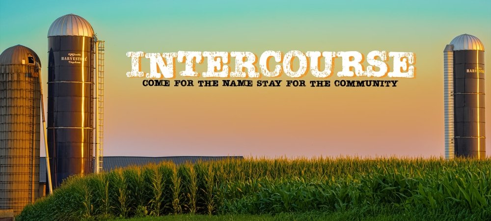 Backdrop of Intercourse