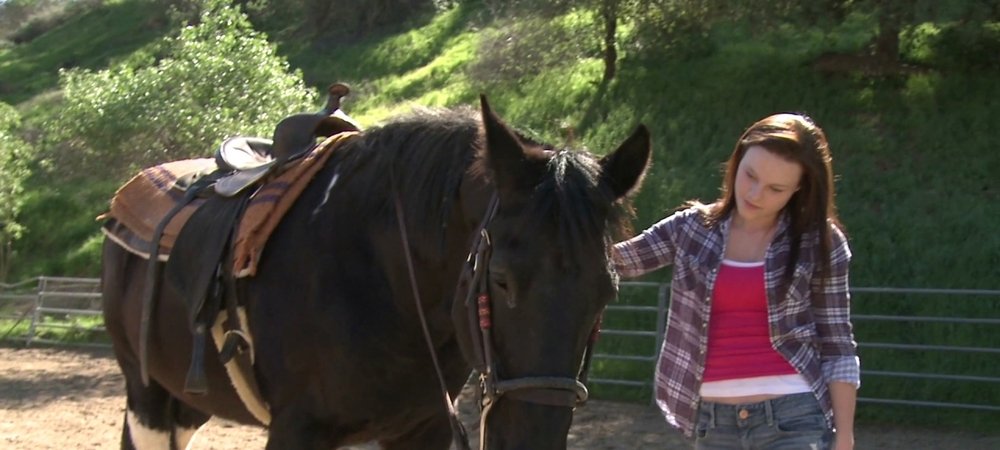 Backdrop of A Talking Pony!?!