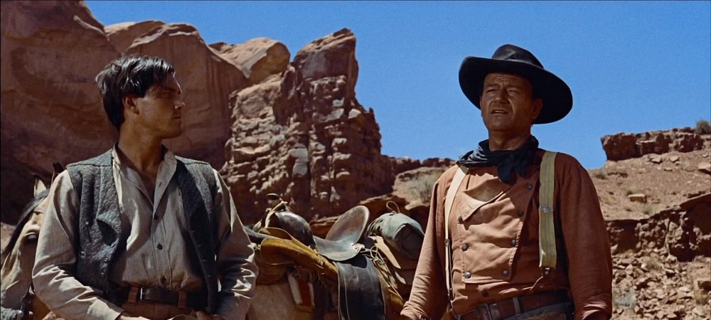 Backdrop of The Searchers