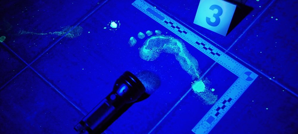 Backdrop of Forensic Files