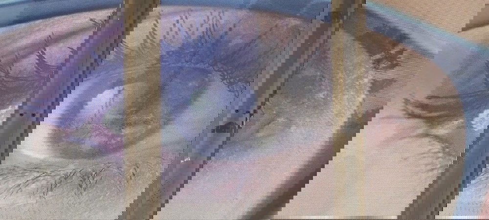 Backdrop of Blindsided
