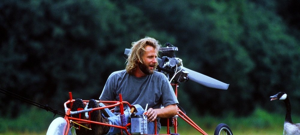 Backdrop of Fly Away Home