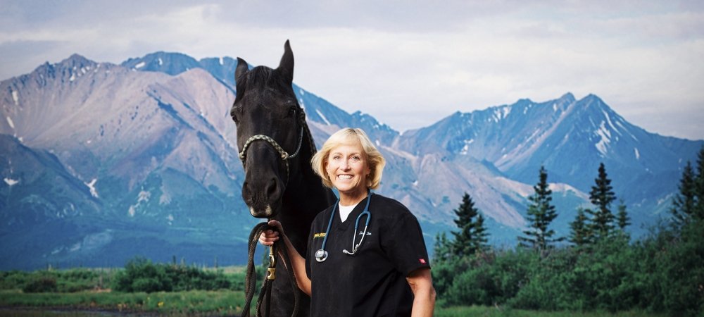 Backdrop of Dr. Dee: Alaska Vet