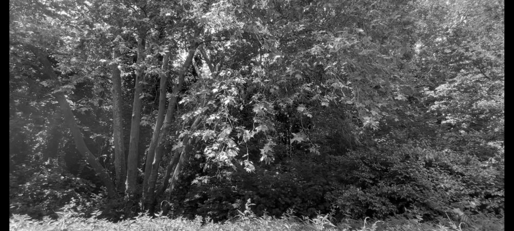 Backdrop of ARGILEUX