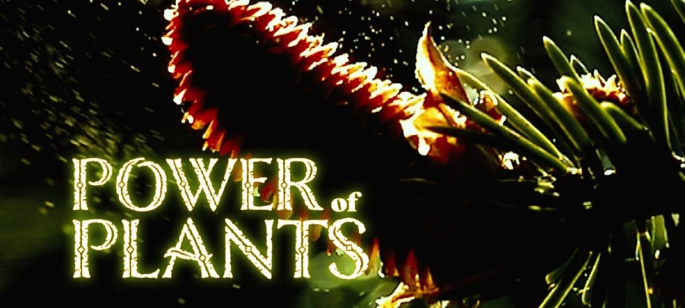 Backdrop of Power Of Plants