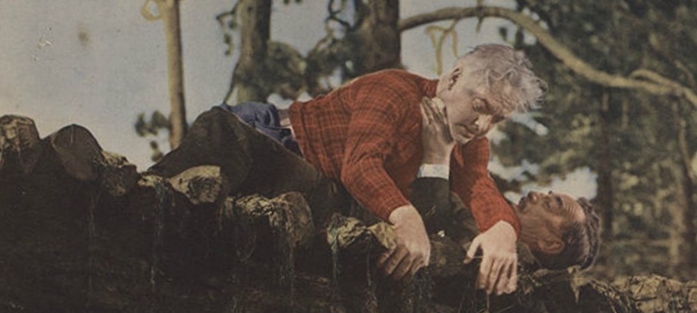 Backdrop of Lumberjack