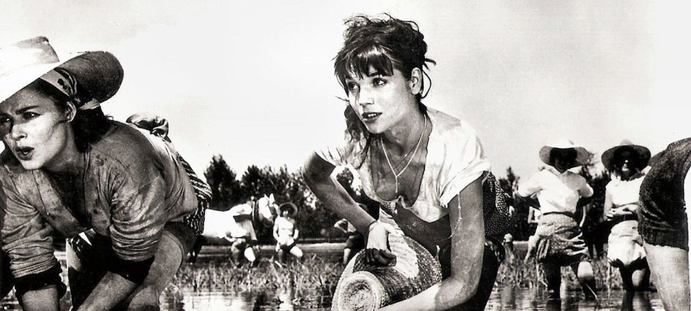 Backdrop of Rice Girl