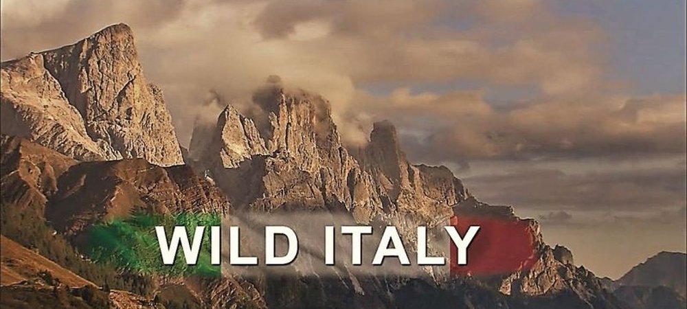 Backdrop of Wild Italy