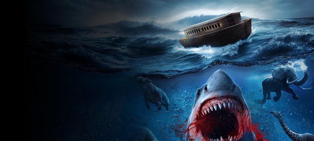 Backdrop of Noah’s Shark