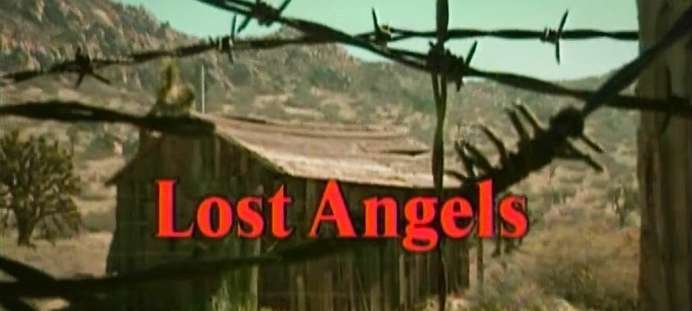 Backdrop of Lost Angels