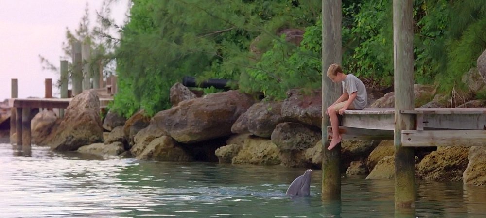 Backdrop of Dolphin Kick