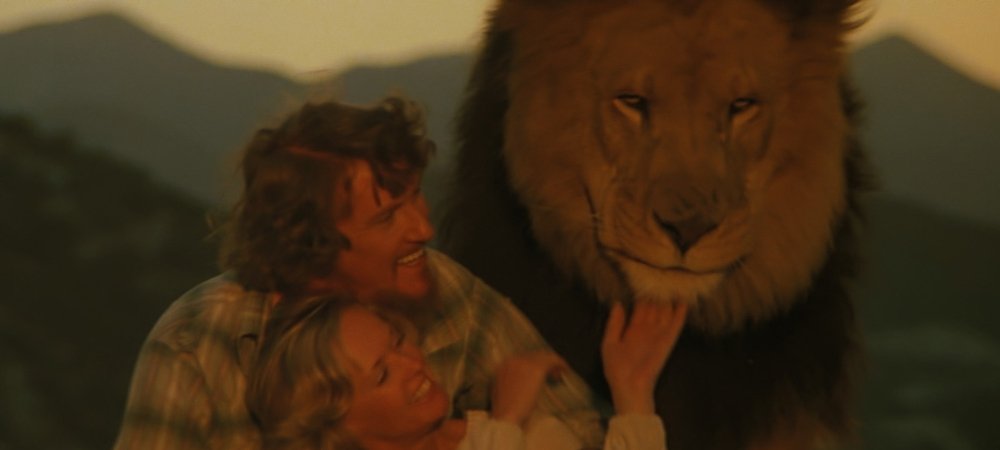 Backdrop of Roar