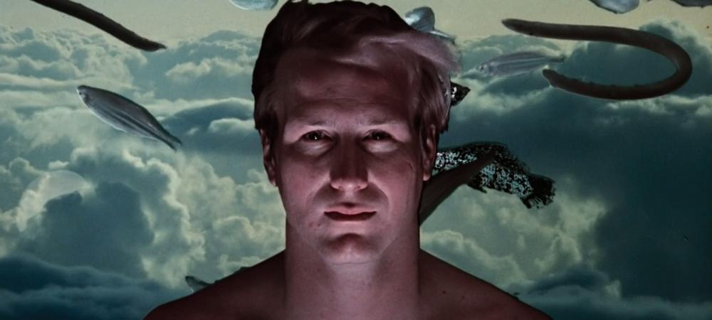 Backdrop of Altered States