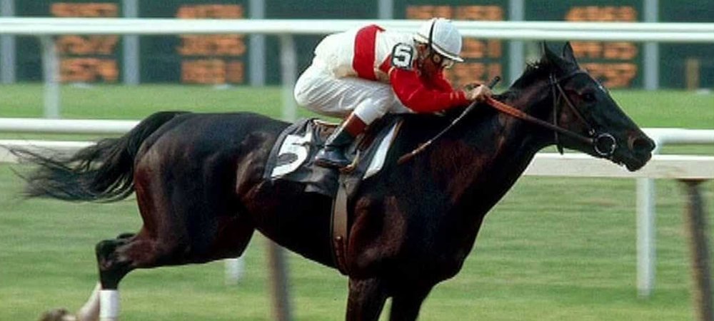Backdrop of Ruffian
