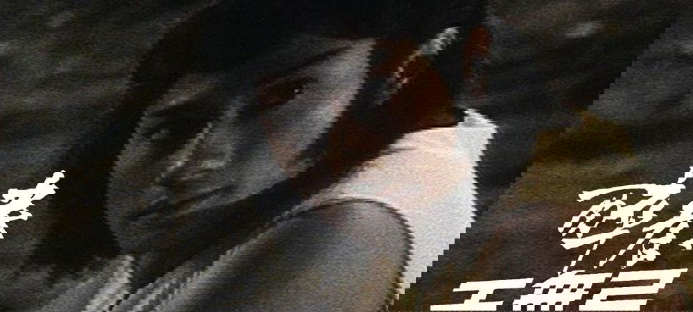 Backdrop of Drunken Fist (I)