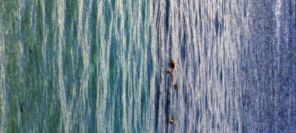 Backdrop of Apple Pie