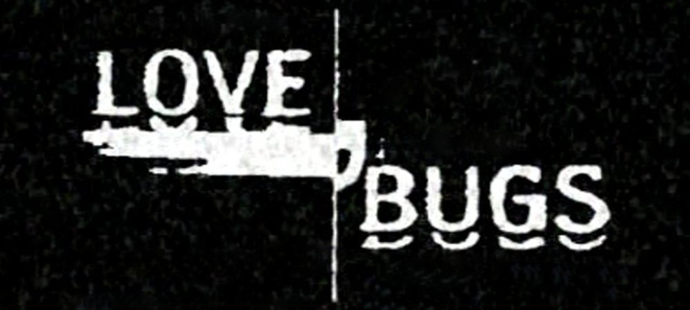 Backdrop of Love Bugs