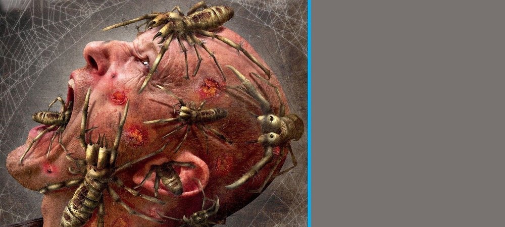 Backdrop of Camel Spiders