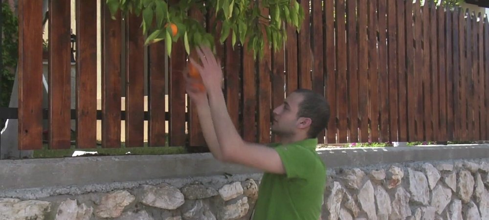 Backdrop of Oranges