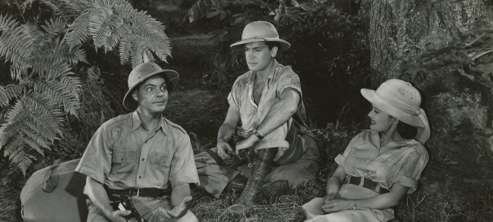 Backdrop of Jungle Safari