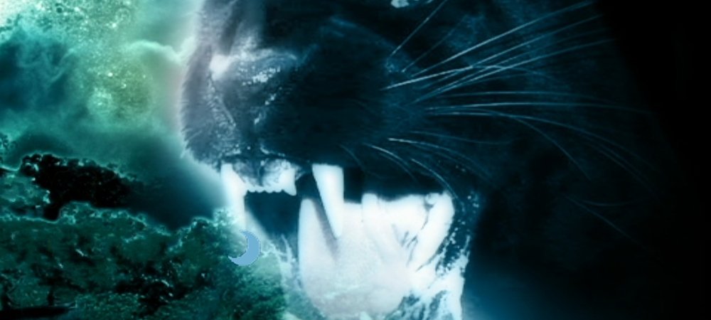 Backdrop of Night Creature