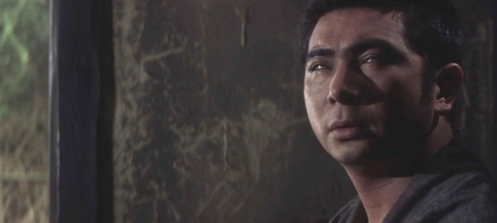 Backdrop of New Tale of Zatoichi