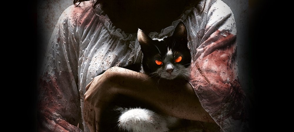 Backdrop of The Cat