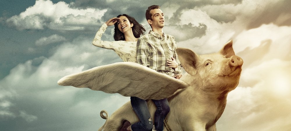 Backdrop of Man Seeking Woman
