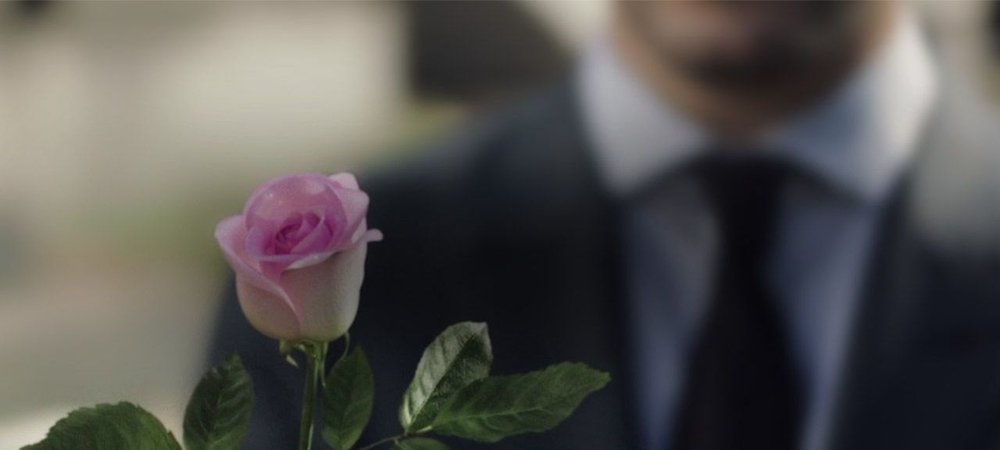 Backdrop of A Rose Reborn
