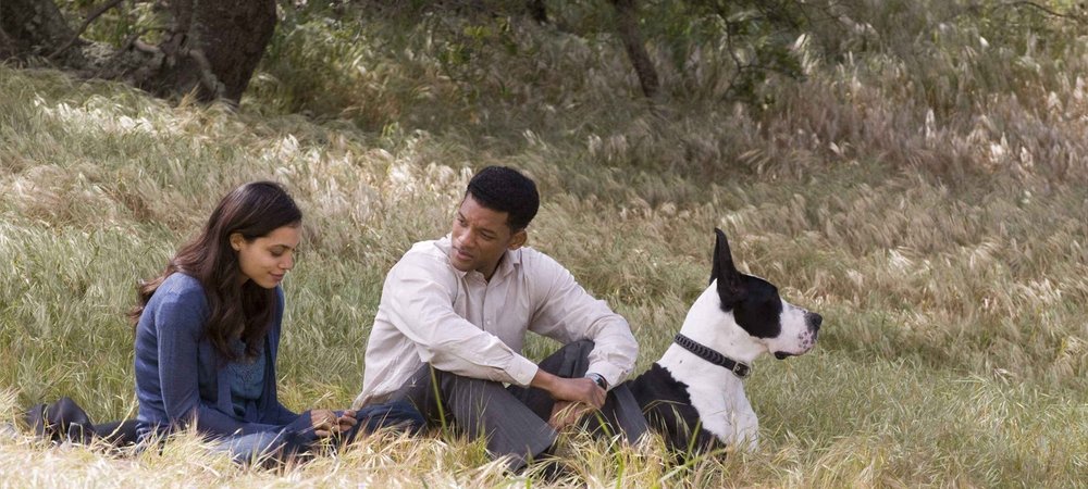 Backdrop of Seven Pounds