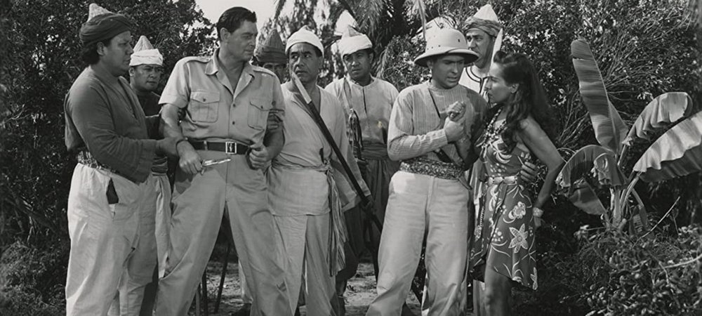 Backdrop of Killer Ape