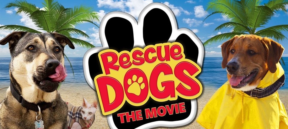 Backdrop of Rescue Dogs