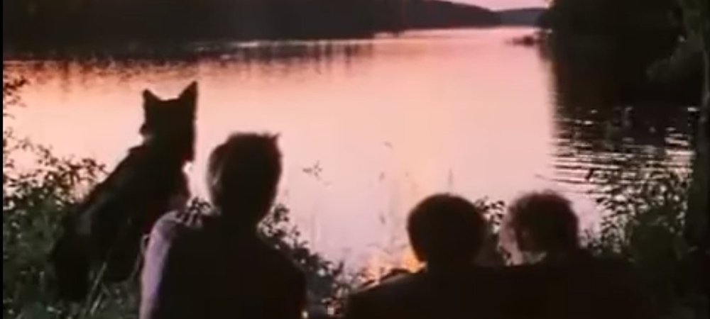 Backdrop of Poacher Hunter