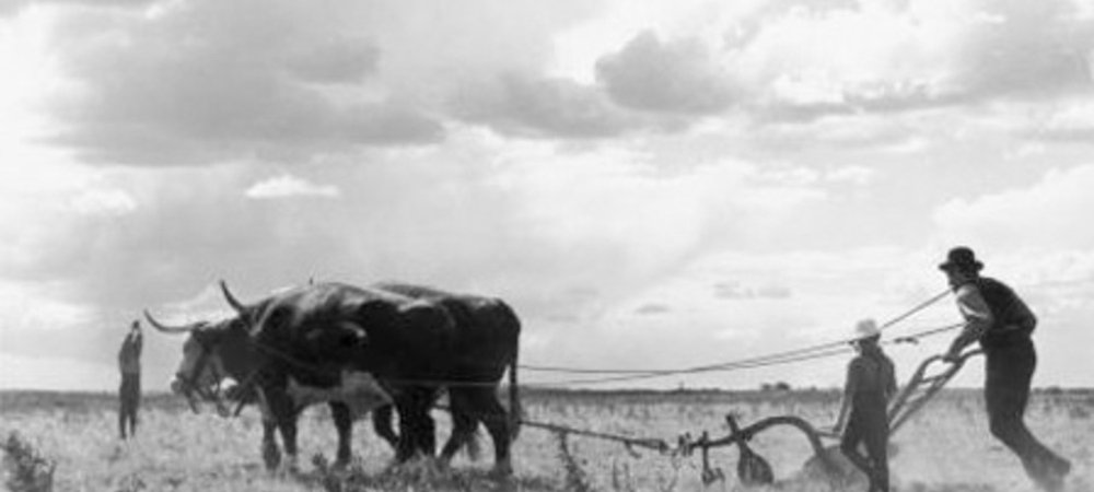 Backdrop of Drylanders