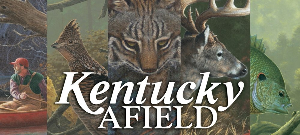 Backdrop of Kentucky Afield