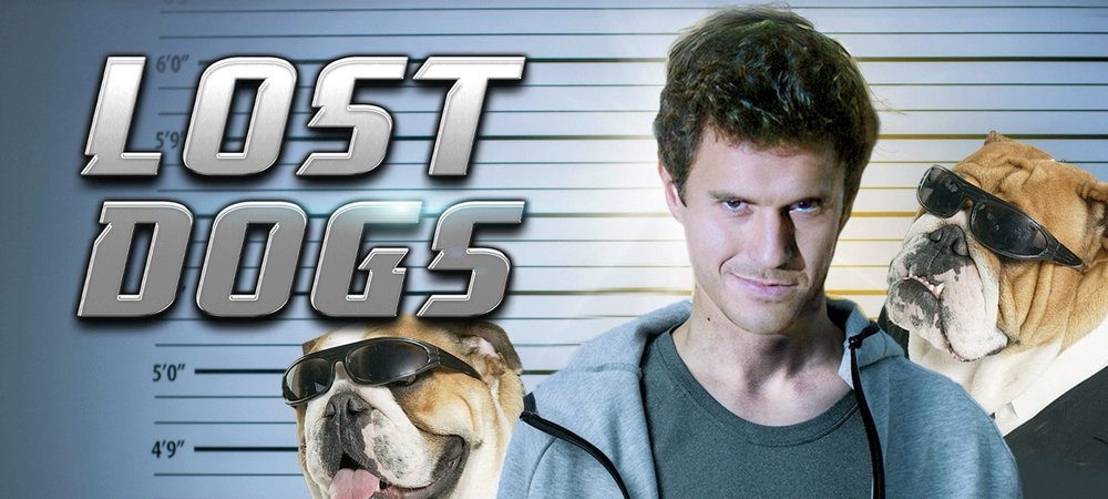 Backdrop of Lost Dogs