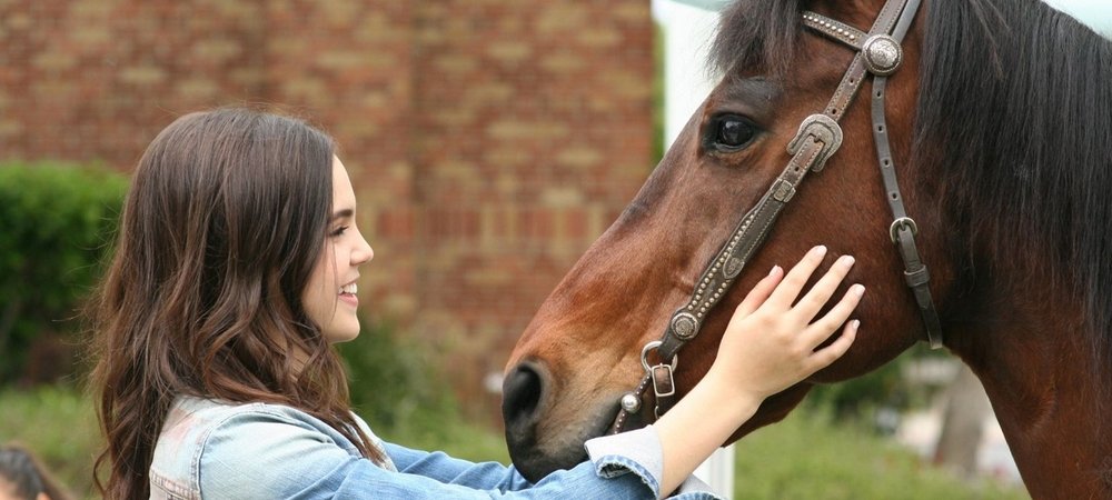 Backdrop of A Cowgirl's Story