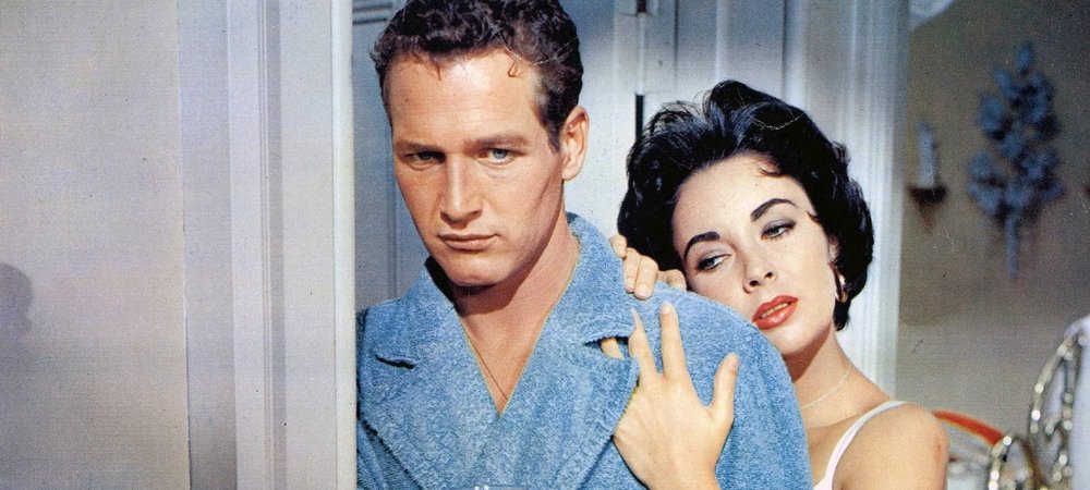 Backdrop of Cat on a Hot Tin Roof